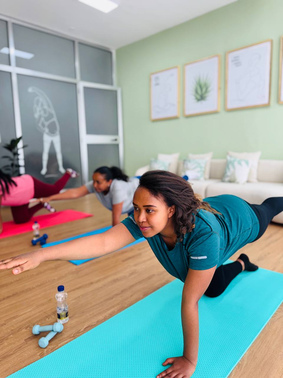 Postnatal Recovery and Rehabilitation